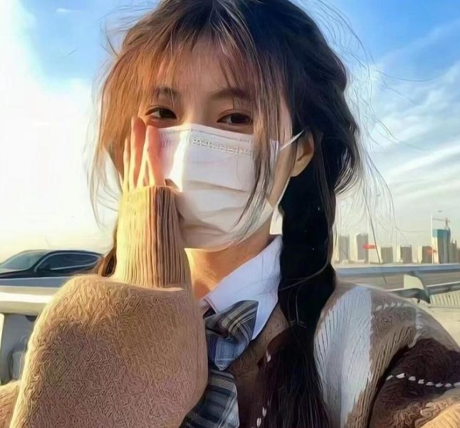 我私人的爱达荷 海报